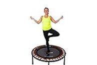 FIT BOUNCE PRO II Bungee Rebounder Mini Trampoline | Already Assembled | Half Folding, Silent & Beautifully Designed for Adults & Kids | Includes Storage Bag & Bounce Counter | Free Online Workouts