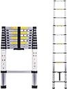 GOBBLER 2.9m (9.5 ft) Portable Ultra-Stable Aluminium Telescopic Ladder; 150kg Capacity with 10 Step (GB-TL10), Black