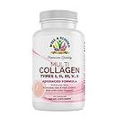 Multi Premium Collagen Supplements for Women with Vitamin C, E -Tighten Skin, Reduce Wrinkles, Strong Nails, Joints & Hair Growth - Anti Aging Skin Care Supplements for Women -90 Capsules