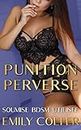 Punition Perverse: Soumise BDSM Utilisée (La Soumise Perverse t. 3) (French Edition)