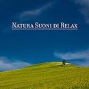 Natura Suoni di Relax – 2019 New Age Musica Compilation per Meditazione, Relax e Massaggi