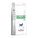Royal Canin Veterinary Diet Dry Dog Food Special Small Dog Dental 2 Kg