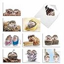 M6541OCB Cards from The Hedge: 10 Assorted Blank All-Occasion Note Cards Featuring Sweet and Cuddly Hedgehogs in Unexpected Places, w/White Envelopes.