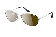 Eagle Eyes CLASSIC AVIATOR Sunglasses -Silver Stainless Steel Frame (58mm) , Polarized Lenses