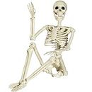 Halloween Posable Skeleton - 90cm Full Body Halloween Skeleton with Movable Joints for Halloween Outdoor Indoor Garden House Patio Decorations (90cm)