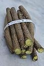 YOTOVA Natural Neem Tree Giloy Guruch Gulvel Guduchi Fresh Plant Sticks Bel Tinospora Cordifolia Plant Stems Natural Immunity Booster Set of 20 Stems (7-inch), Total 210 Inch Direct From Jungles