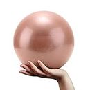 20cm Small Pilates Ball Sports Yoga Fitness Ball Thickened Explosion-Proof Exercise Ball Physical Therapy Stretching and Core Training Improve Balance Strength Home Gym Portable Fitness Accessories