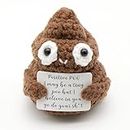 Jezioro Positive Poo Crochet Gifts,Mini Pocket Hug Gift for Women,Funny Knitted Doll,Cute Positivity Affirmation Encouragement Dolls,Handwoven Knitting Toys,Motivational Poop Ornament,Anniversary