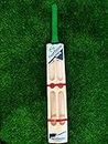 SPORTSISTIC |Scoop | Kashmir Willow - Double Blade | Cricket Bat |
