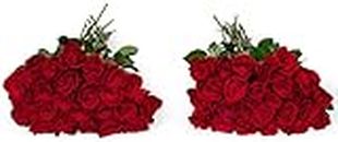 BENCHMARK BOUQUETS - 50 Stems of Red Roses (Vase Not Included), Next-Day Delivery, Fresh Flower Gift for Birthday, Event Planners, Designers, Holidays, Home Decor, Weddings