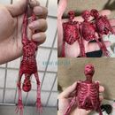 1/6/12 Human Skeleton Half-body Flesh Blood Skeleton Model Action Figure Toy