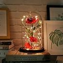 URBANSEASONS Beauty and The Beast Rose,Rose Kit, Red Silk Rose and Led Light with Fallen Petals in Glass Dome on Wooden Base Valentine's Day Anniversary Birthday