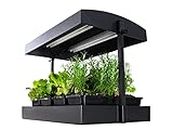 SunBlaster T5HO Indoor Growlight Garden, Home Growing Kit