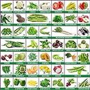 Greenery Hub Combo 45 Variety Vegetable Seeds Pack Best Collection For Garden And Home Garden Seeds Pack 2500+ Seeds In Combo Pack
