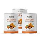 Acurmin Ferment – Fermentiertes Bio-Kurkuma-Pulver – mit postbiotischen Effekten – 1 g Kurkuma-Pulver (3er-Pack)