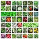 ONLY FOR ORGANIC 45 Variety Of Vegetable Seeds With Instruction Manual