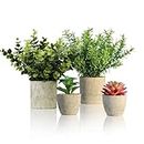 MAHMITIY Artificial Plants Indoor Set of 4 Potted Fake plants Eucalyptus Rosemary Succulents Mini Faux Plant for Room Decor Home Kitchen Garden Office Shelf Wall Decoration Indoor & Outdoor