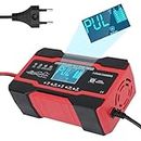 ARKZO Heavy Duty 10-Amp Portable Battery Charger and Jump Starter, 12V and 24V with Temperature Compensation, Trickle Maintainer for Cars, Bikes, Rickshaws 150ah - Ideal Car Battery Charger