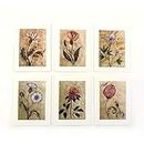Fablittleartwork Wild Flower Red Greeting Cards (Pack Of 6 With Envelopes),Birthday