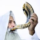 Kosher Ram Shofar Horn from Israel 14”-16" Traditional Half Polished Ram Shofar,