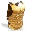 IOTC Muscle Armor Breastplate Forged Roman Conqueror Body Armor, Brass, One Size Fits All