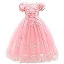 Girls T Shirt Sets Little Girls New Year Cosplay Outfits for Kids Party Fancy Dress Up Long Evening Gown 3 to 12 Years (Pink, 6-7 Years)