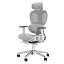 PatioMage Ergonomic Mesh Office Chair with 3D Adjustable Armrest,High Back Desk Computer Chair Ergo3d Ergonomic Office Chair with Wheels for Home & Office