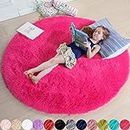Hot Pink Fluffy Circle Round Rug 4'X4' for Kids Room, Furry Carpet for Teen Girls Bedroom, Shaggy Circular Rug for Nursery Room,Fuzzy Plush Rug for Dorm,Pink Carpet,Cute Room Decor
