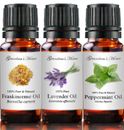 10 mL Essential Oils - 100% Pure and Natural - Therapeutic Grade - Free Shipping
