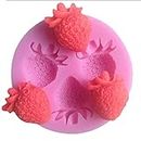 RKPM HOMES Fruit Shape Chocolate Mould | 3D DIY Fondant Silicone Mold | Baking Tools for Cake Chocolate Candy Ice Jelly Soap | Baking Moulds | for Cake Cupcake Topper Decoration (Strawberry Mold)