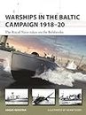 Warships in the Baltic Campaign 1918–20: The Royal Navy takes on the Bolsheviks