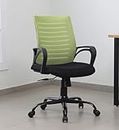ASE GAMING Enigma Mesh Mid-Back Ergonomic Office Chair - Comfortable and Stylish for Work and Study(Green)