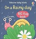 On a Rainy Day (Big Flap Book)