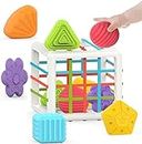 MINGKIDS Montessori Toys for 1 Year Old,Baby Sorter Toy 6 Pcs Multi Sensory Shape, Toddler Developmental Learning Toys Birthday Gifts,Baby Toys 6-12-18 Months