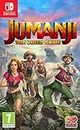 Jumanji: The Video Game - Nintendo Switch [Importación inglesa]