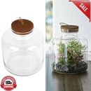Terrarium Succulent Moss Miniature Gardens Container DIY Mini Garden Clear Glass
