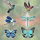 MWOOT 12 Stücke Fliegengittertür Magnete Screen Magnets Decals,Libellen Schmetterlinge Kolibris Magnetische,Dekorative Doppelseitig Flexible Magnetische Eignen Sich zum Schutz Kindertieren(6 Stile)