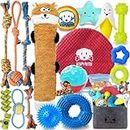 KIPRITII Puppy Toys for Dog Teething -23 Pack Various Puppy Dog Chew Toys with Rope Toys, Dog Treat Balls & Dog Squeaky Toy for Puppy and Small Dogs
