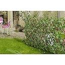 COSMOS-A Expandable Artificial Grass Hedge Leaves Fence for Home and Garden Decor. (20 * 60inch/ 5 feet/150 cm) (01) (20 * 60 inches)