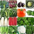 GROW DELIGHT 14 Vegetable Seeds for Home Garden, Organic & Hybrid, Perfect for Home Gardening, Planting For Pots and Patio