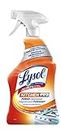 Lysol Antibacterial Kitchen Cleaner, Kitchen-Pro Power Degreaser, Unbeatable Grease Cutting, 650ml