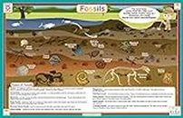 Tot Talk Fossils Placemat