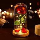 Beauty and The Beast Rose, Eternal Rose in Glass Dome, Enchanted Rose Glass with Pine Base LED Lights, for Birthday, Wedding Anniversary, Thanksgiving, Christmas, Valentine's Day, Mother's Day