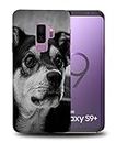 Adorable Cute Puppy Dog Canine 52 Phone CASE Cover for Samsung Galaxy S9+ Plus
