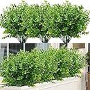 TOCHGREEN 8 Bundles Artificial Plants Outdoor Artificial Boxwood UV Resistant Fake Boxwood Stems Plants for Hanging Planters Outside Porch Vase Home Window Garden Farmhouse Decoration (Green)
