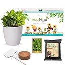 ecofynd DIY Grow Kit for Lettuce || DIY Easy Grow it Yourself Gardening Kit for Home and Garden || A Complete Beginner Gardeners Gardening Set || Best Return Gift For Kids Birthday Party