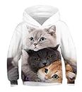 JSJCHENG 3D Animal Print Hoodies for Boys Girls Hooded Pullover Sweatshirts for 4-15 Years(Cats Three, 11-13 Years)