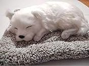 CarOxygen Interior Car Dashboard Soft Toy Sleeping Puppy Dog Decorative Showpiece Car Accessories, White, 26 Cm
