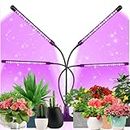 Grow Lights for Indoor Plants, Four Head LED Grow Light with Red & Blue Spectrum for Indoor Plant Growing Lamp, Adjustable Gooseneck, Suitable for Plants Growth (with SAA Adaptor and Tools)