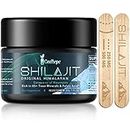 Shilajit Natural Purified Himalayan Shilajit Resin - Full of Fulvic Acid & Trace Elements, Vegan, Replenish Energy and Immune Support, 30 Grams for Two Months (Pack of 1)